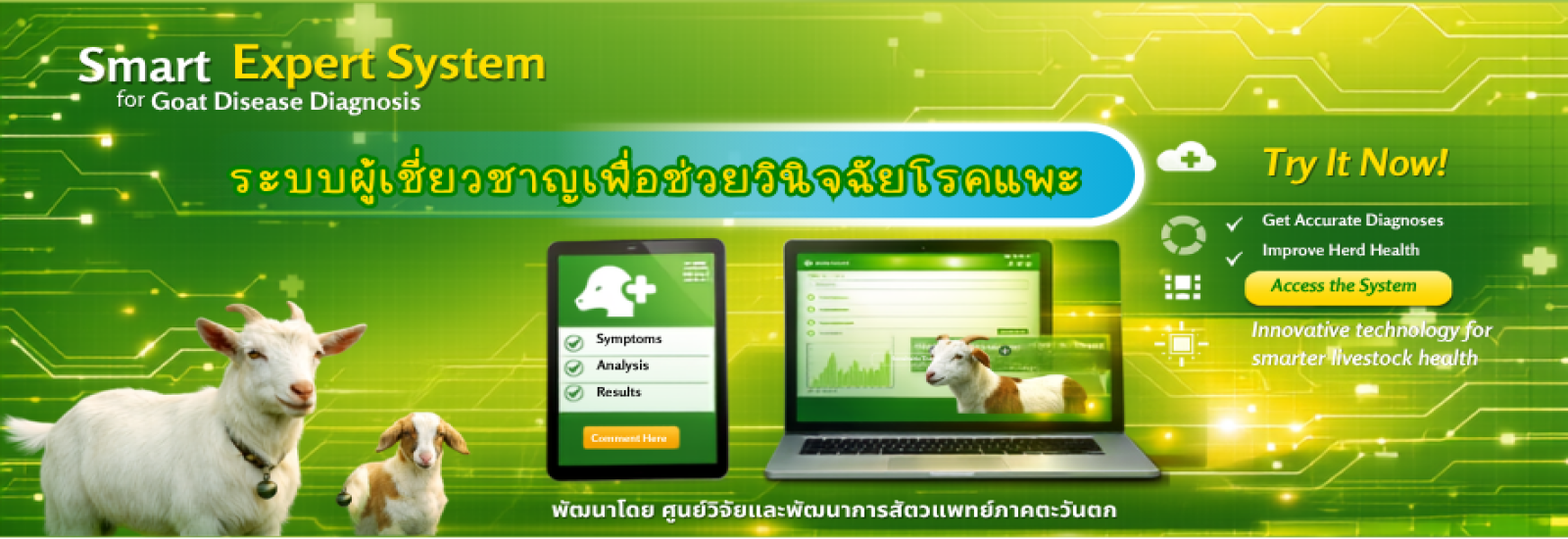 ระบบผู้เชี่ยวชาญเพื่อช่วยวินิจฉัยโรคแพะ