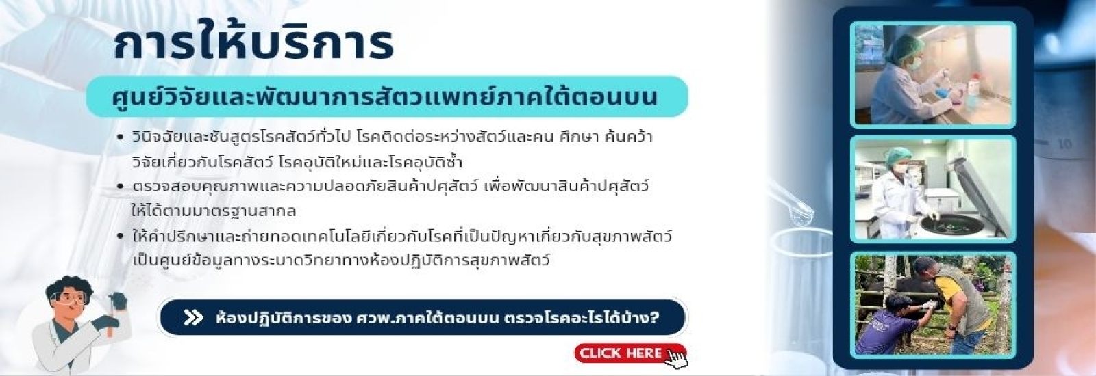 การให้บริการ