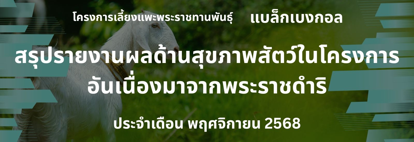 รายงานผลการดำเนินงานด้านสุขภาพสัตว์ ในโครงการอันเนื่องมาจากพระราชดำริ