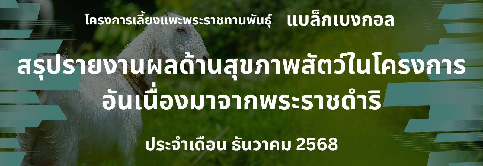 รายงานผลการดำเนินงานด้านสุขภาพสัตว์ ในโครงการอันเนื่องมาจากพระราชดำริ เดือน ธันวาคม 2568