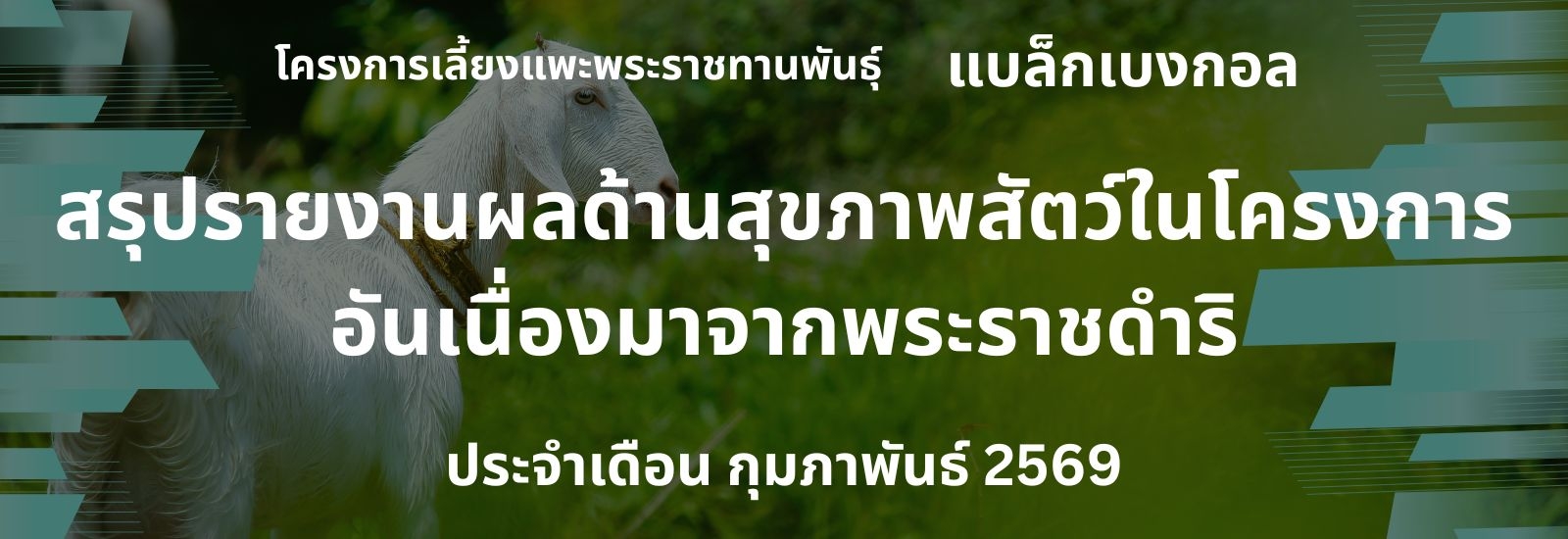 รายงานผลการดำเนินงานด้านสุขภาพสัตว์ ในโครงการอันเนื่องมาจากพระราชดำริ เดือน กุมภาพันธ์ 2569
