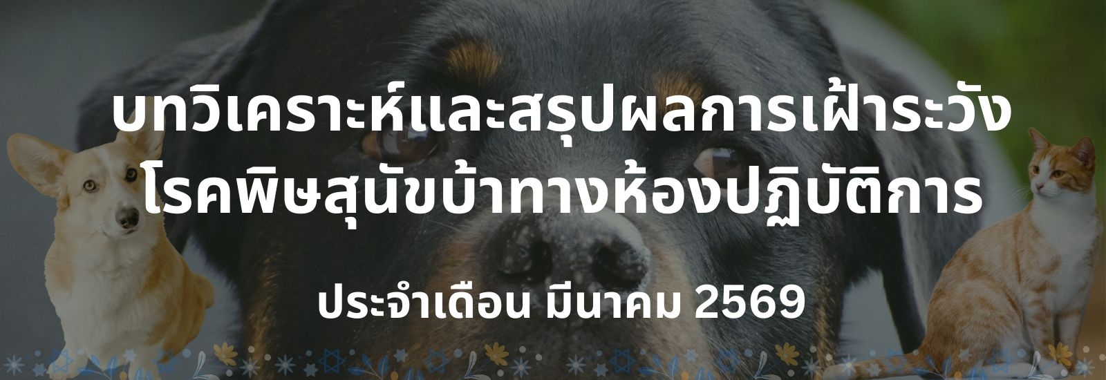 บทวิเคราะห์และสรุปผลการเฝ้าระวังโรคพิษสุนัขบ้าทางห้องปฏิบัติการ ประจำเดือน มีนาคม 2569