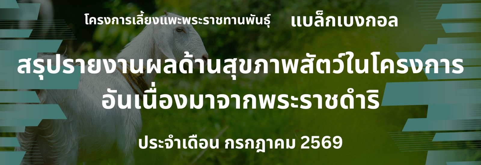 รายงานผลการดำเนินงานด้านสุขภาพสัตว์ ในโครงการอันเนื่องมาจากพระราชดำริ เดือน กรกฎาคม 2569