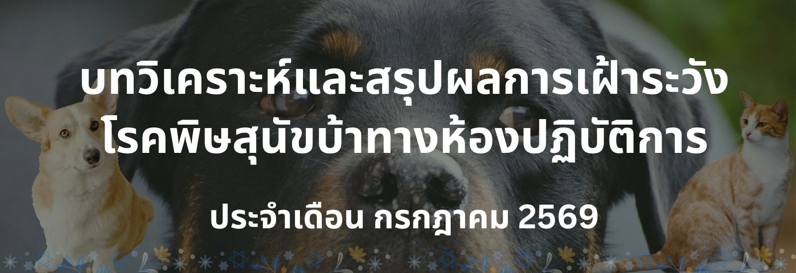 บทวิเคราะห์และสรุปผลการเฝ้าระวังโรคพิษสุนัขบ้าทางห้องปฏิบัติการ ประจำเดือน กรกฎาคม 2569