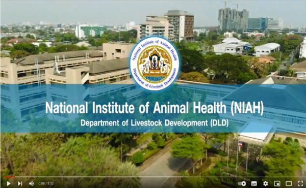 National Institute of Animal Health (NIAH) presentation แนะนำสถาบันฯ ภาษาอังกฤษ