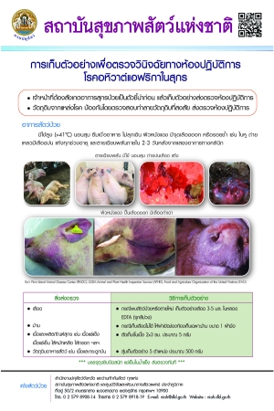 การเก็บตัวอย่างเพื่อตรวจวินิจฉัยทางห้องปฏิบัติการ โรคอหิวาต์แอฟริกาในสุกร