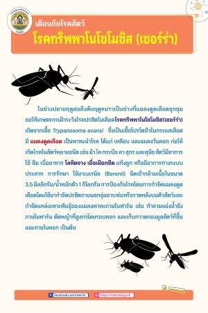 เฝ้าระวังโรคปรสิตในเลือด โรคทริพพาโนโซโมซิส (เซอร์ร่า)