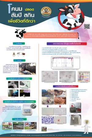 โคนมปลอดลัมปีสกิน เพื่อชีวิตที่ดีกว่า