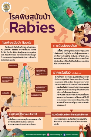 โรคพิษสุนัขบ้า (Rabie)