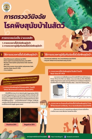 การตรวจวินิจฉัยโรคพิษสุนัขบ้าในสัตว์