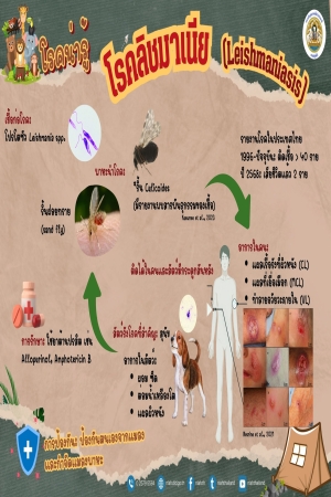 โรคลิชมาเนีย (Leishmanias)