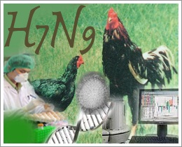 h7n9diag