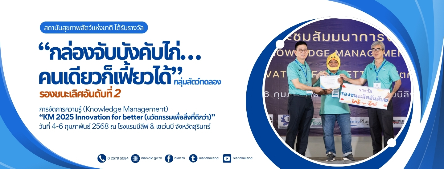 DSC6231 Enhanced NR 0 Copy