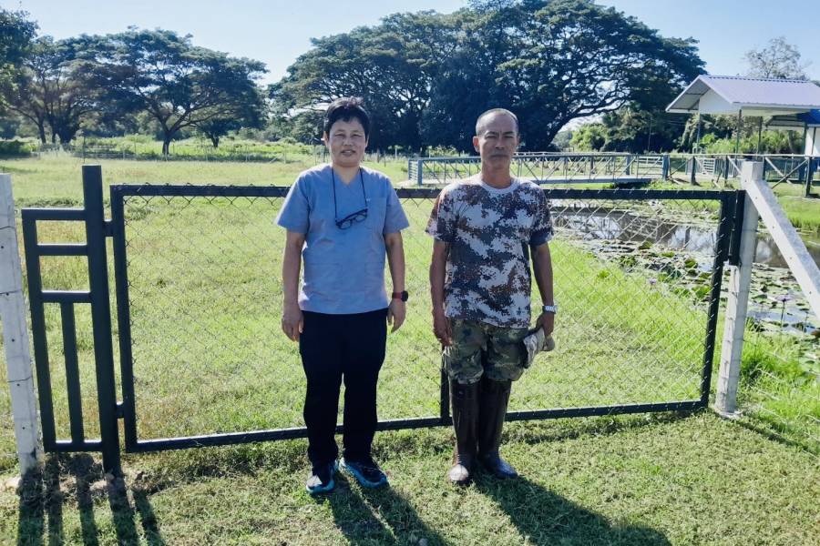 ศวพ.ภาคเหนือตอนล่าง ลงพื้นที่ตรวจสุขภาพแพะ โครงการผลิตแพะพระราชทานฯ จังหวัดพิษณุโลก