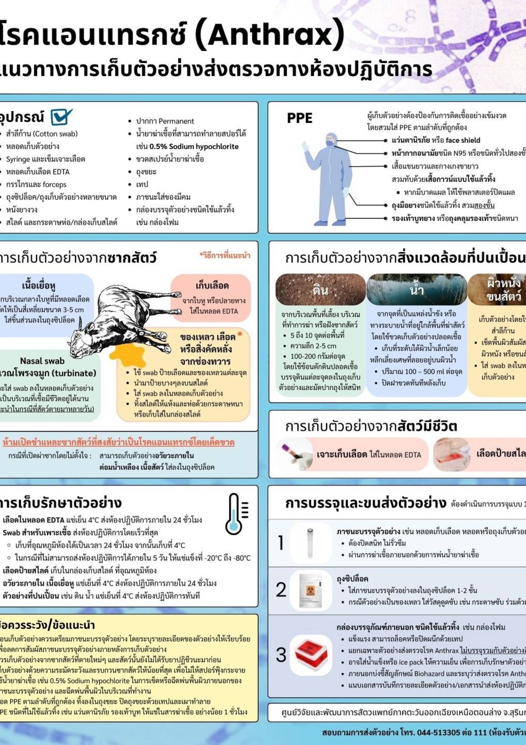 แนวทางการเก็บตัวอย่างส่งตรวจทางห้องปฏิบัติการ  โรคแอนแทรกซ์ (Anthrax) 2 (4)