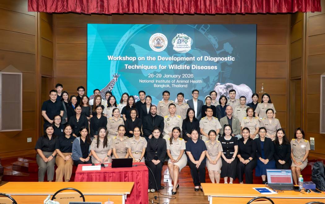 สถาบันสุขภาพสัตว์แห่งชาติ จัดประชุมเชิงปฏิบัติการ หลักสูตร “การพัฒนาเทคนิคการวินิจฉัยโรคในสัตว์ป่า” (Workshop on the Development of Diagnostic Techniques for Wildlife Diseases)