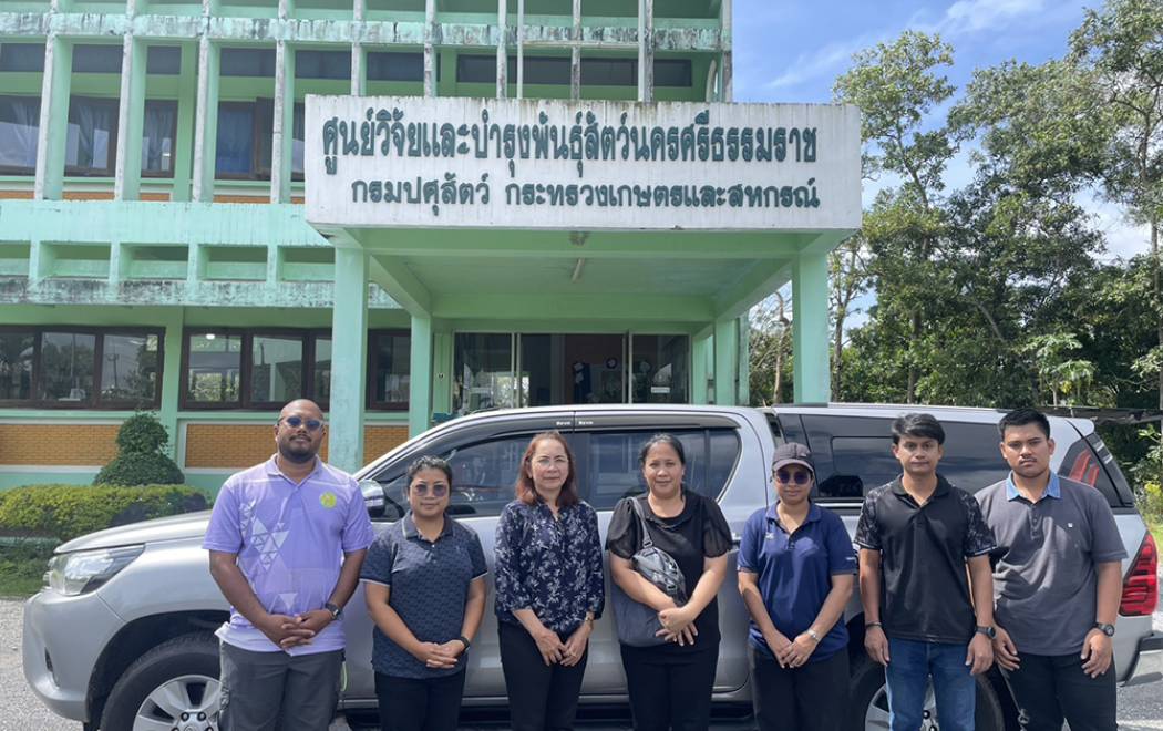 บริการตรวจสุขภาพสัตว์ เพื่อรับรองฟาร์มปลอดโรคบรูเซลลา