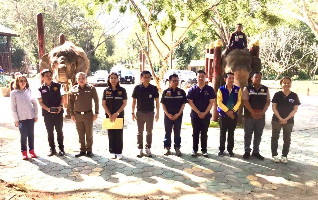 ศวพ. ภาคเหนือตอนบน เข้าร่วมดูแลและบำรุงสุขภาพช้างสำคัญ ครั้งที่  2/2569