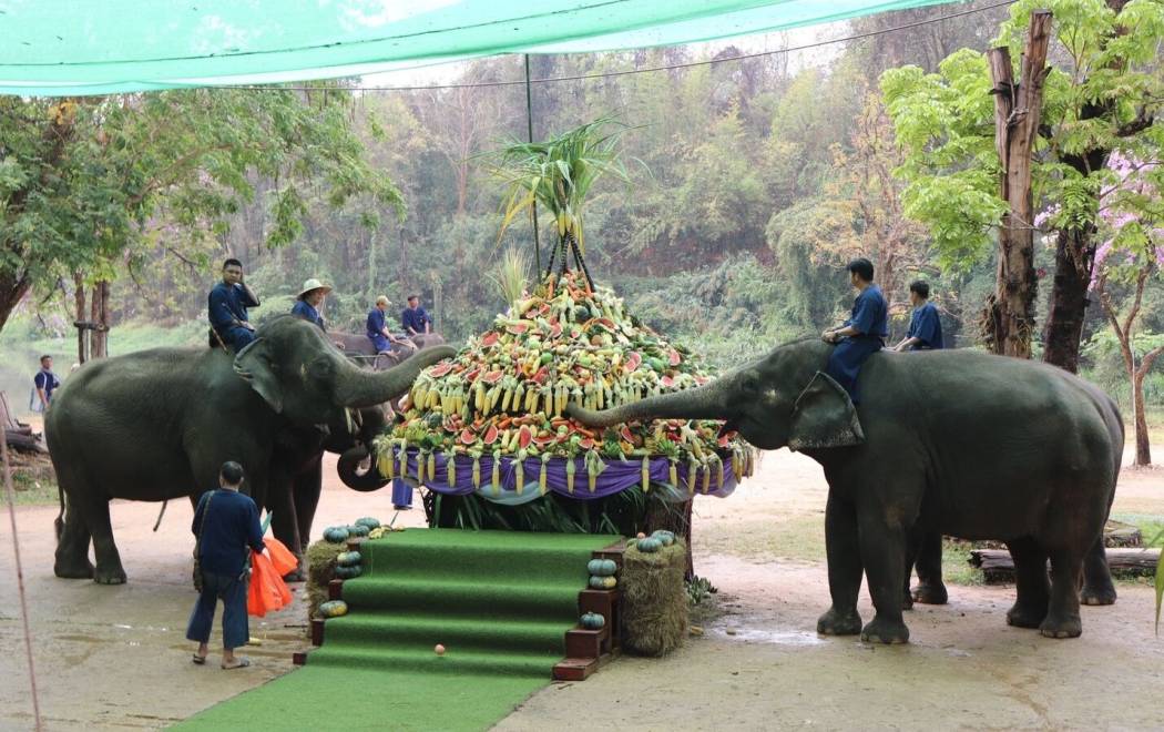 ศวพ.ภาคเหนือตอนบน เข้าร่วมงานวันช้างไทย ประจำปี 2569 