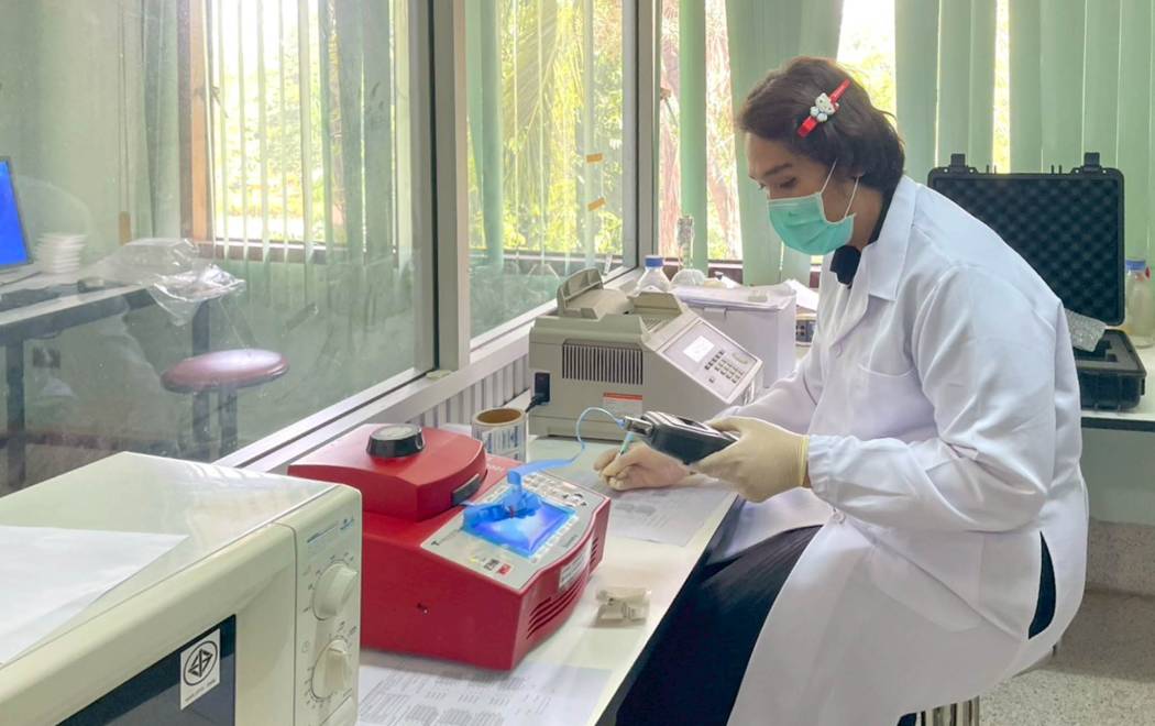 ดำเนินการสอบเทียบเครื่องเพิ่มปริมาณสารพันธุกรรม (PCR) ณ ศูนย์วิจัยและพัฒนาการสัตวแพทย์ภาคตะวันออกเฉียงเหนือตอนล่าง จ.สุรินทร์