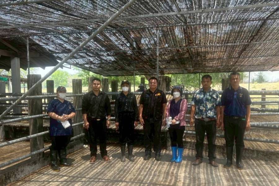 ศวพ.ภาคเหนือตอนล่าง ร่วมดำเนินการลงพื้นที่ตรวจสุขภาพโคเนื้อ จังหวัดนครสวรรค์
