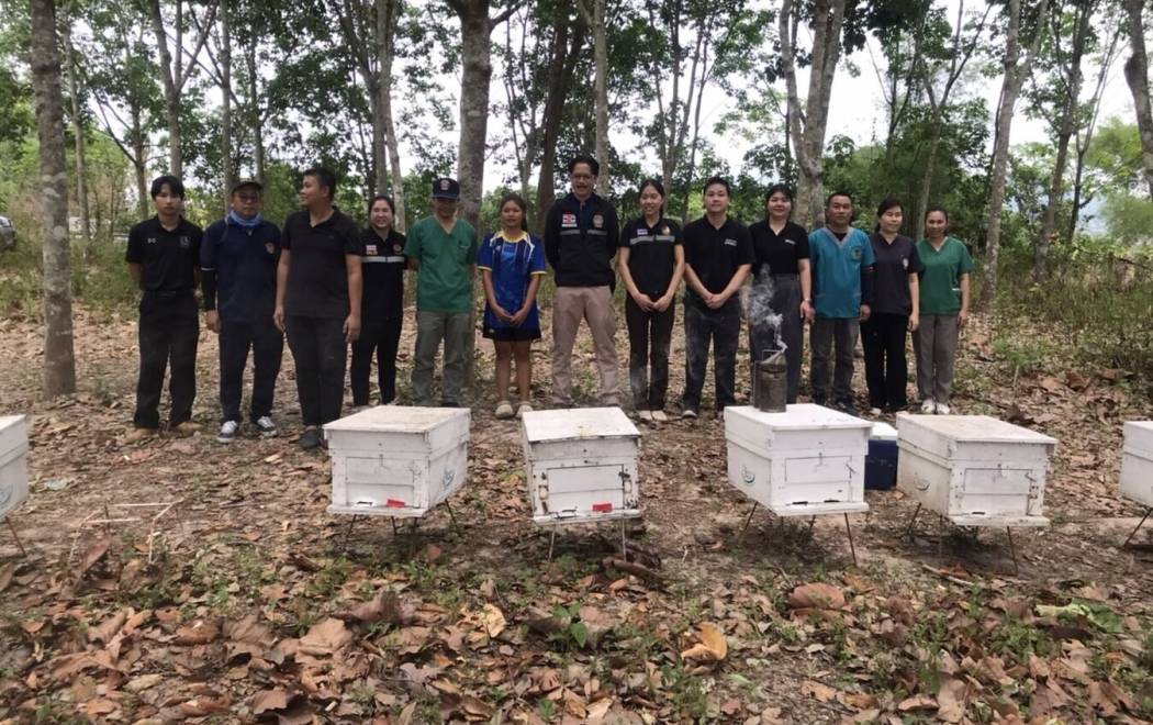ศวพ.ภาคเหนือตอนบน ร่วมเก็บตัวอย่างผึ้งในพื้นที่จังหวัดลำพูน