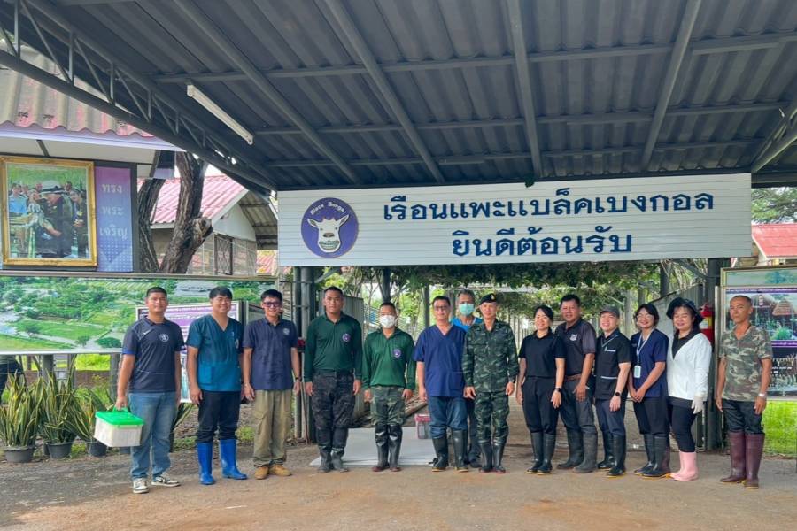 ศวพ.ภาคเหนือตอนล่าง ร่วมดำเนินการดูแลสุขภาพแพะและเก็บตัวอย่างส่งตรวจทางห้องปฏิบัติการ ในโครงการผลิตแพะพระราชทาน “เพื่อนช่วยเพื่อน” พื้นที่ภาคเหนือ จังหวัดพิษณุโลก