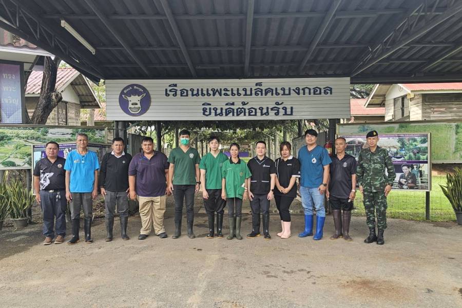 ศวพ.ภาคเหนือตอนล่าง ลงพื้นที่ดำเนินการตรวจเยี่ยมและส่งเสริมสุขภาพแพะ ภายใต้โครงการผลิตแพะพระราชทาน “เพื่อนช่วยเพื่อน” พื้นที่ภาคเหนือ จังหวัดพิษณุโลก