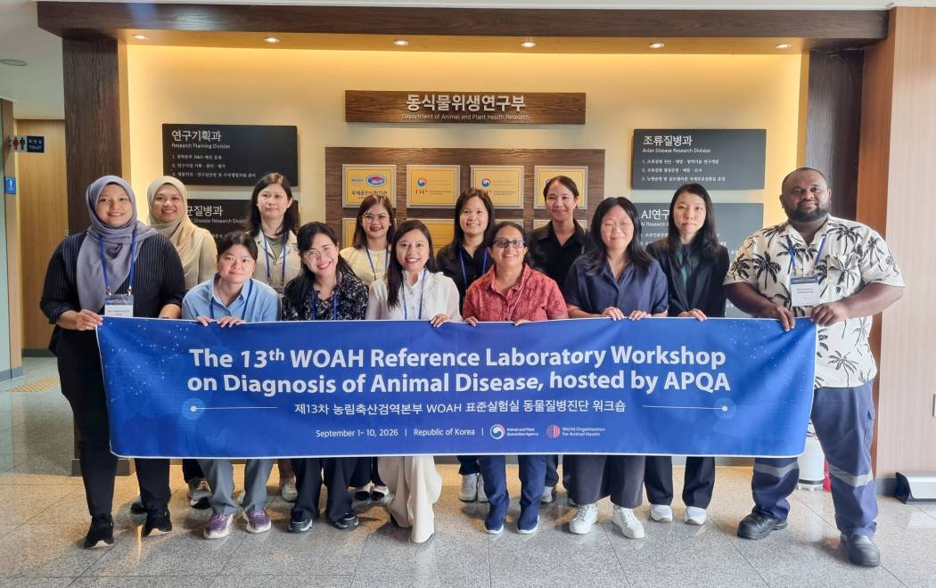 สถาบันสุขภาพสัตว์แห่งชาติ เข้าร่วมฝึกอบรมหลักสูตร The 13th WOAH Reference Laboratory Workshop on Diagnosis of Animal Disease ณ เมืองกิมชอน สาธารณรัฐเกาหลี