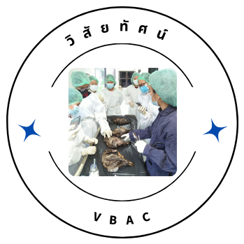 วิสัยทัศน์