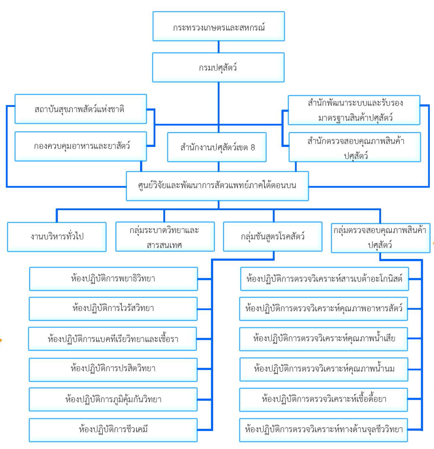 organizational structure